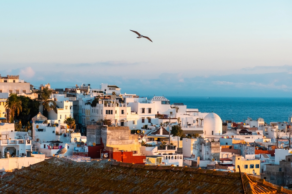 A Personal & Elegant Chauffeur Experience